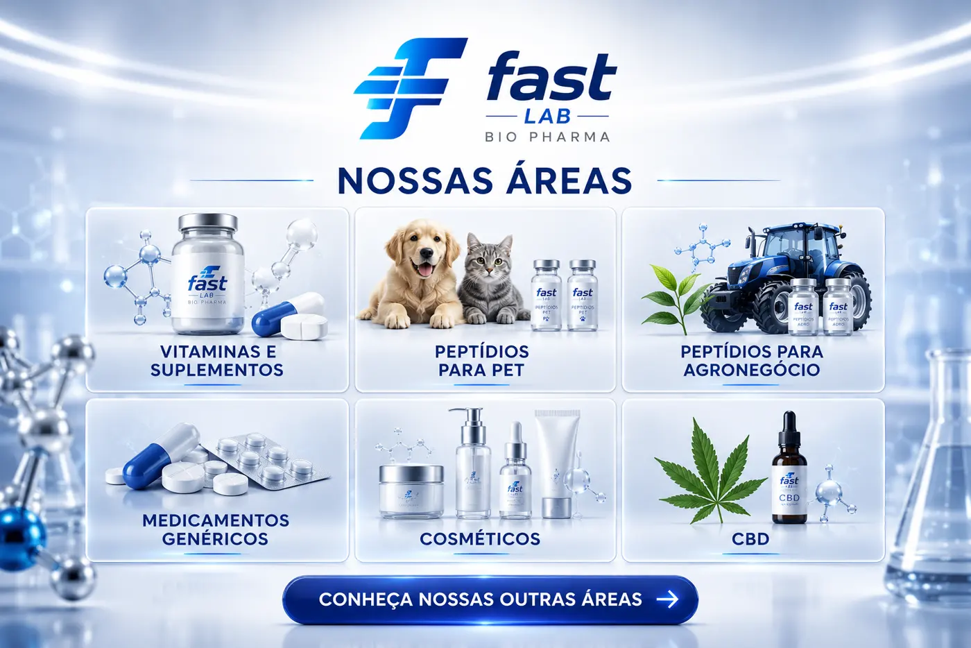 FastLab divisions